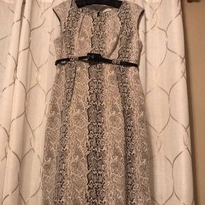 Calvin Klein knit empire waist above knee dress